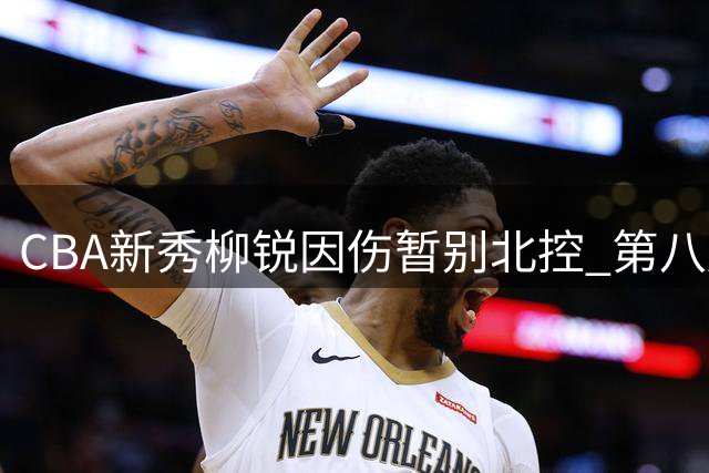 CBA新秀柳锐因伤暂别北控 第八顺位选秀成泡影